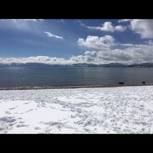 Meet your Posher, Rogelio